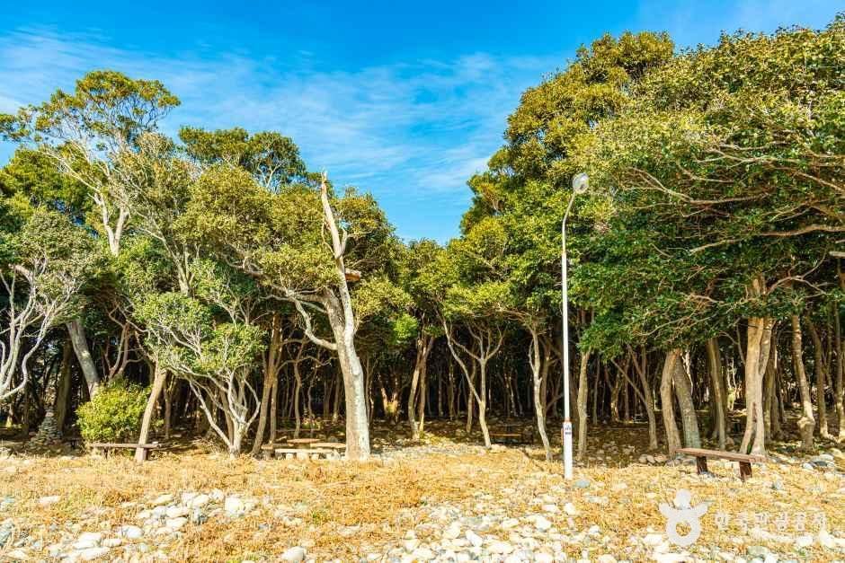 보옥리 공룡알해변