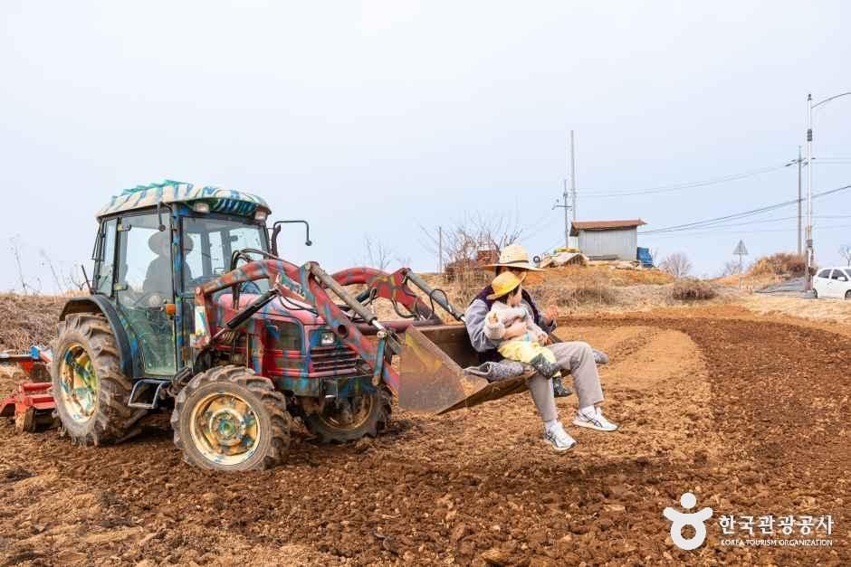 로렌츠감성치유시골체험