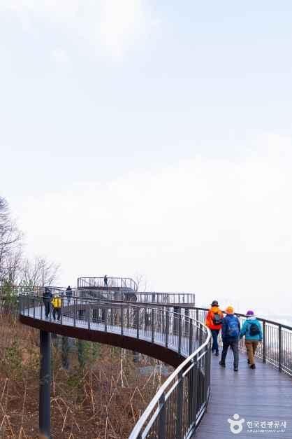 용마산 스카이워크