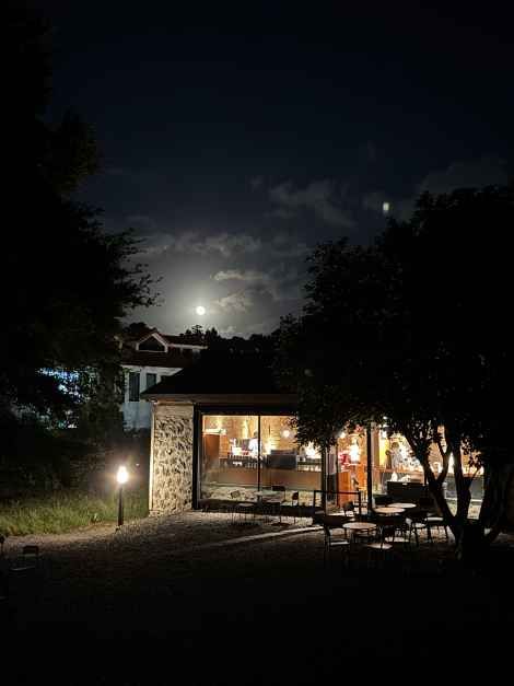 제주_커피템플 (2).JPG