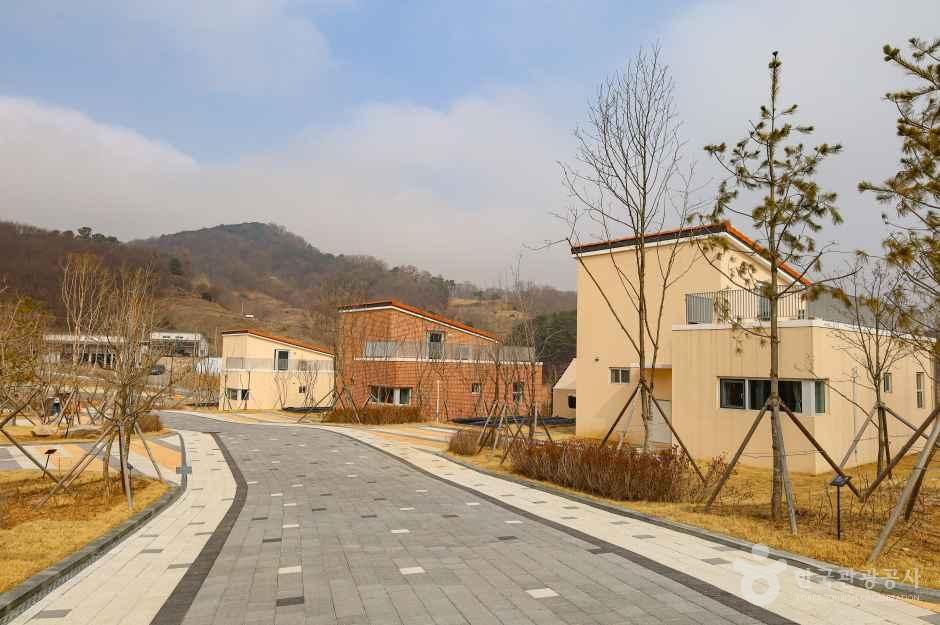 예당호 착한농촌체험세상