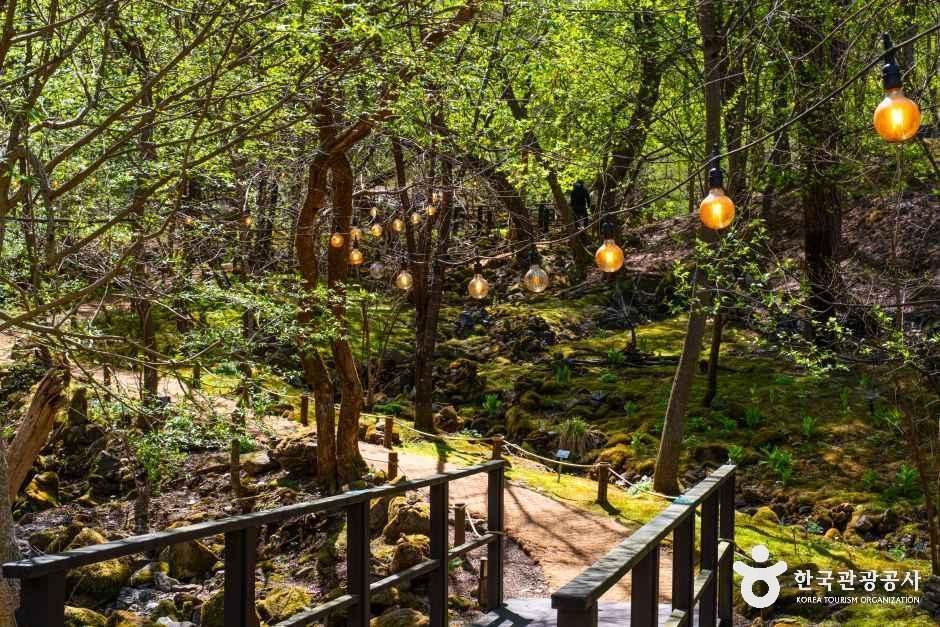 4058655 image2 1 예스키즈존 탐험대 : 실패 없는 육아여행