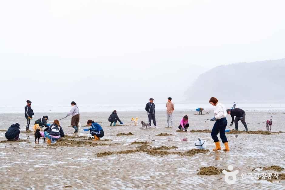Byeongsuman Fishing Village Experience Village