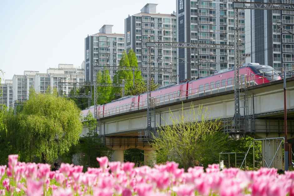 韓国の鉄道を楽しもう！～撮り鉄編その2・地方のフォトスポット～