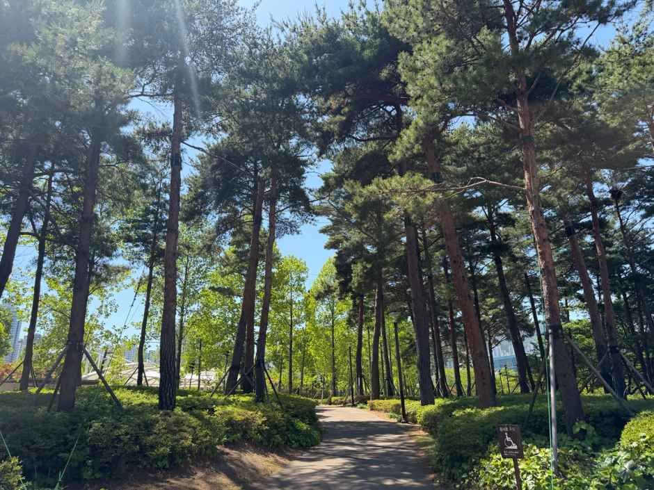 Parque de los Ciudadanos de Busan