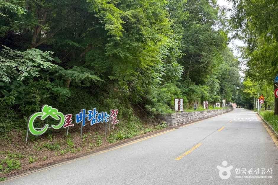 바람쐬는길