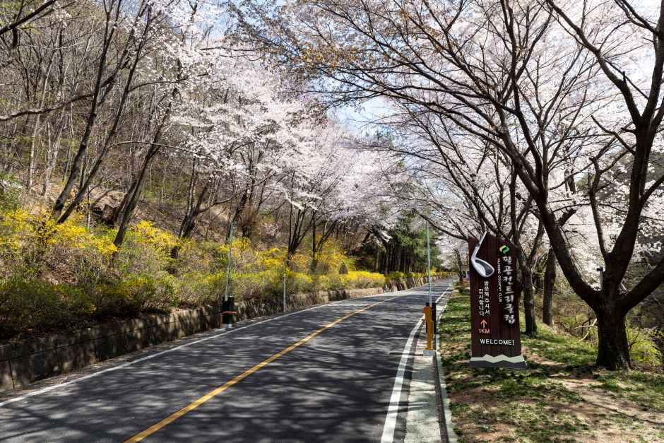 팔공컨트리클럽