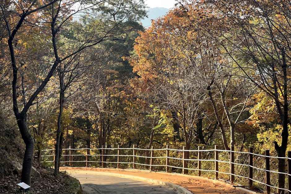 성주봉자연휴양림 야영장