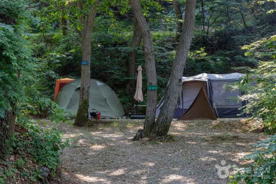 뮤즈캠핑장 사진 4