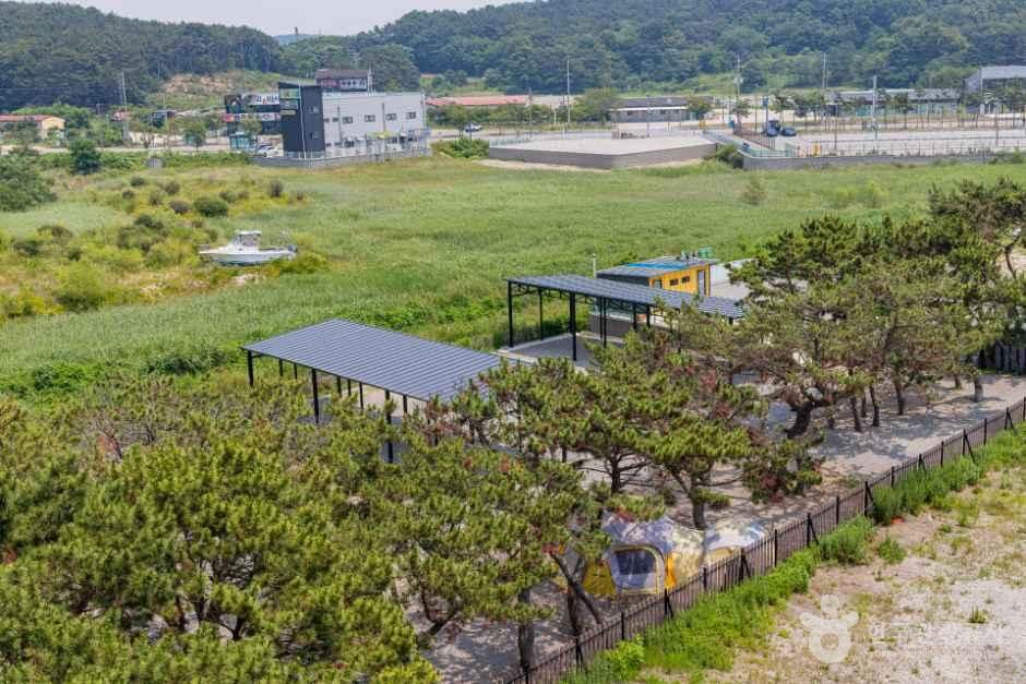 을왕리 솔트 캠핑장