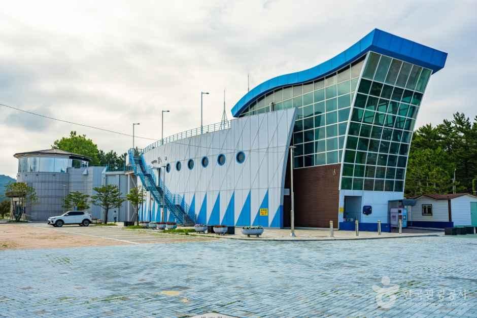 [해파랑길] 49코스 사진 4