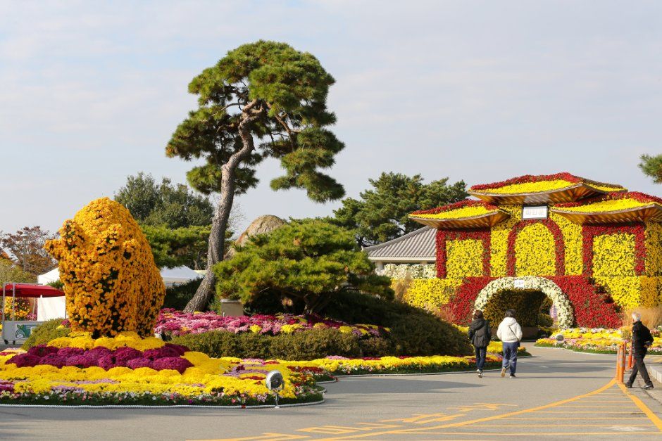Wolchulsan Chrysanthemum Festival