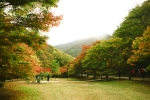 내장산국립공원