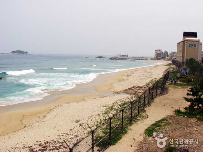 봉포해변 봉포해변