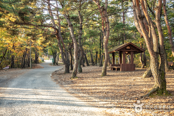 운제산