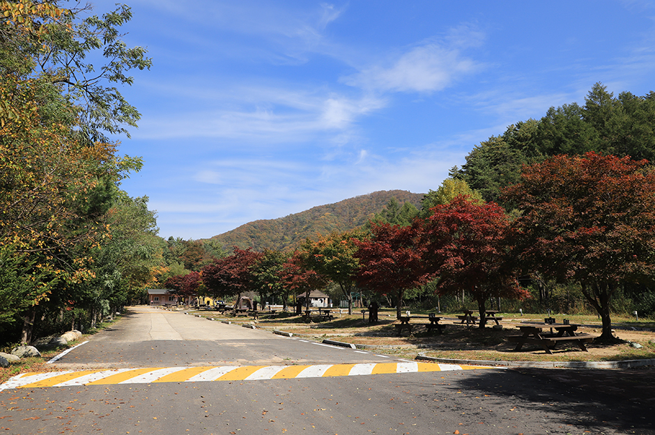 鶏峰山オートキャンプ場