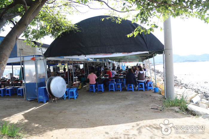 해운정왕새우양식장 강화군 애견맛집