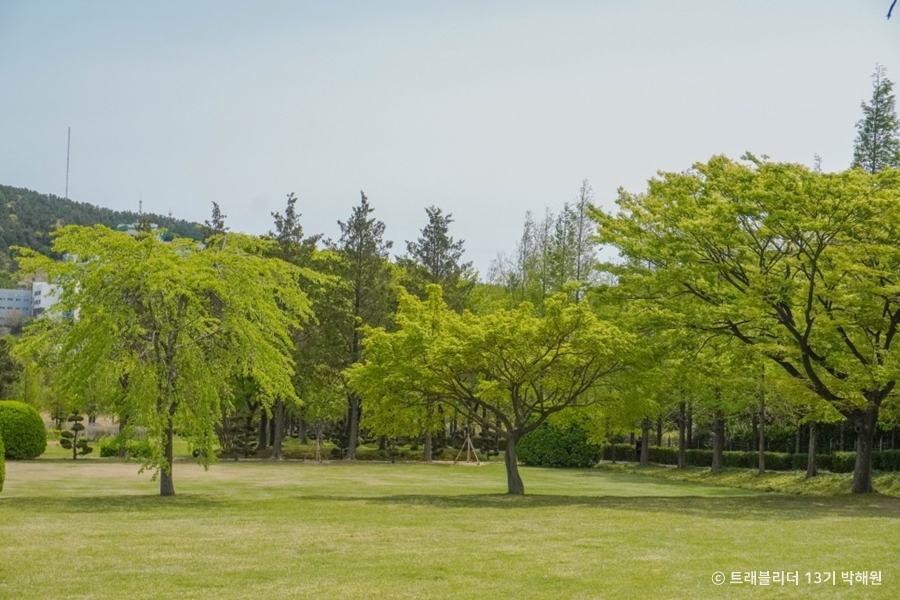 大淵樹木展示園