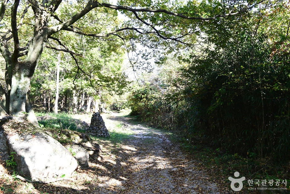 高山