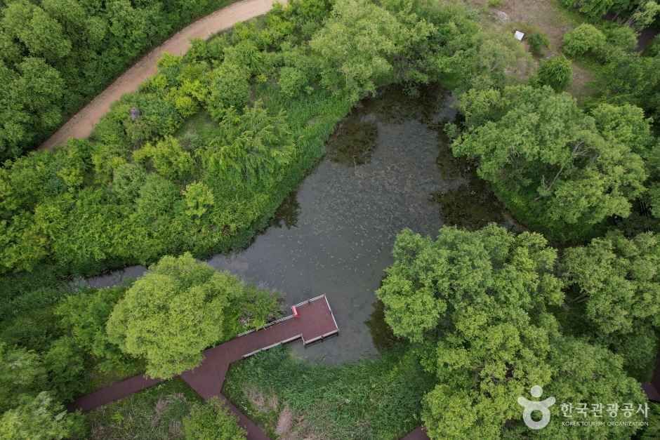 수풀로 운심리 3