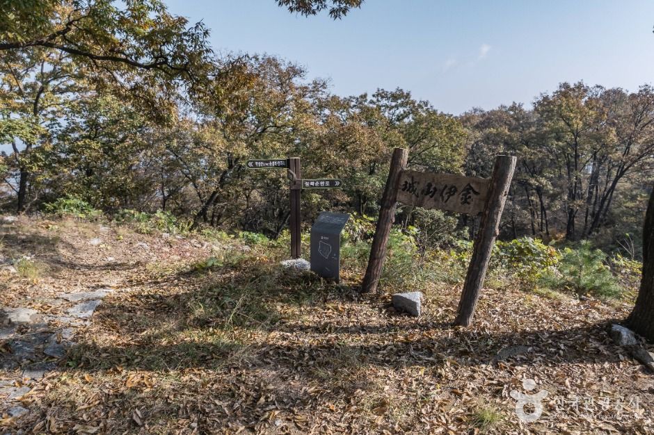 세종_금이성 (12)