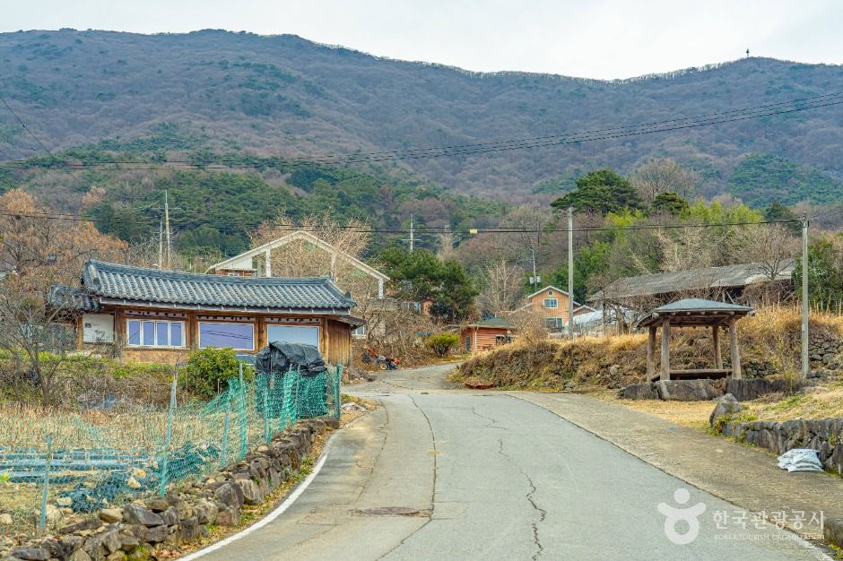 Suman-ri Wild Chrysanthemum Village, Hwasun