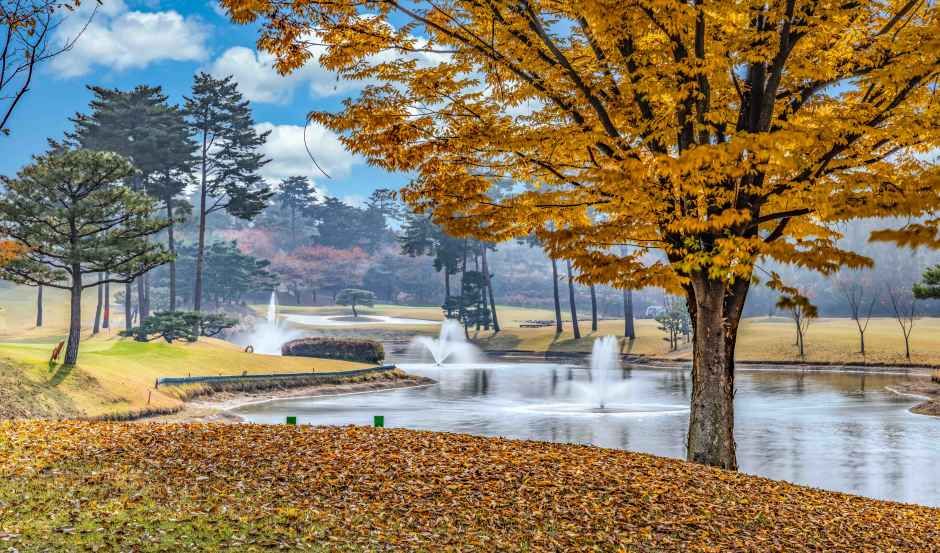 여주_솔모로 컨트리클럽 (3).jpg