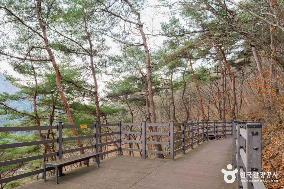 성불산자연휴양림