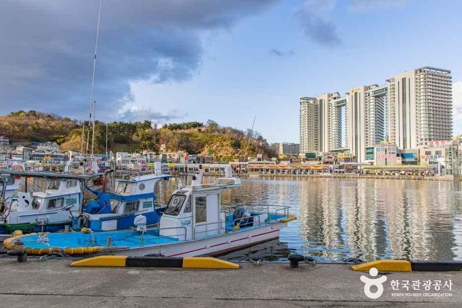 大浦港