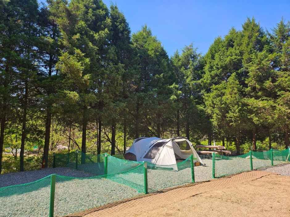 양주 감악산 캠핑장