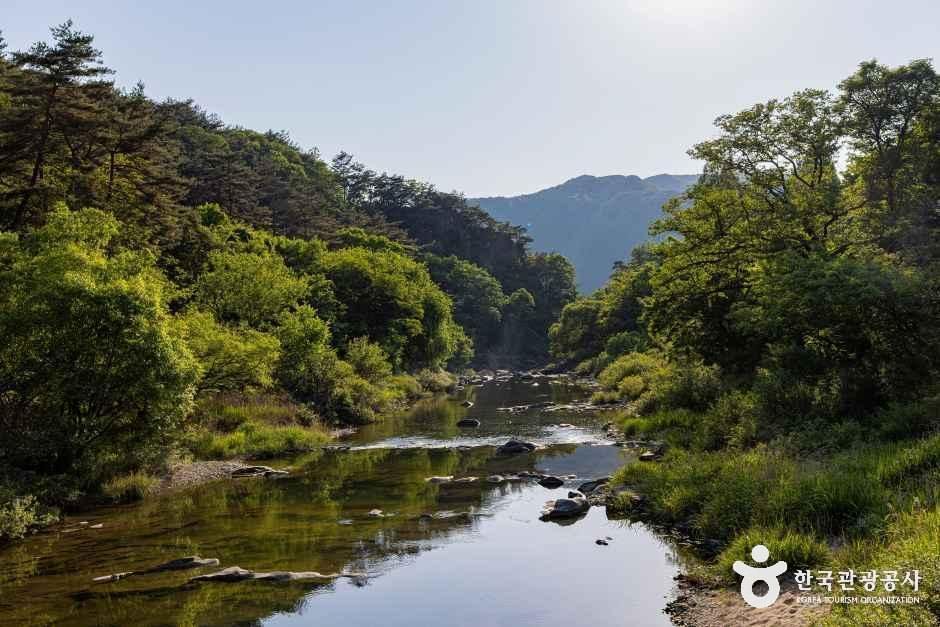 모드니애캠핑장펜션