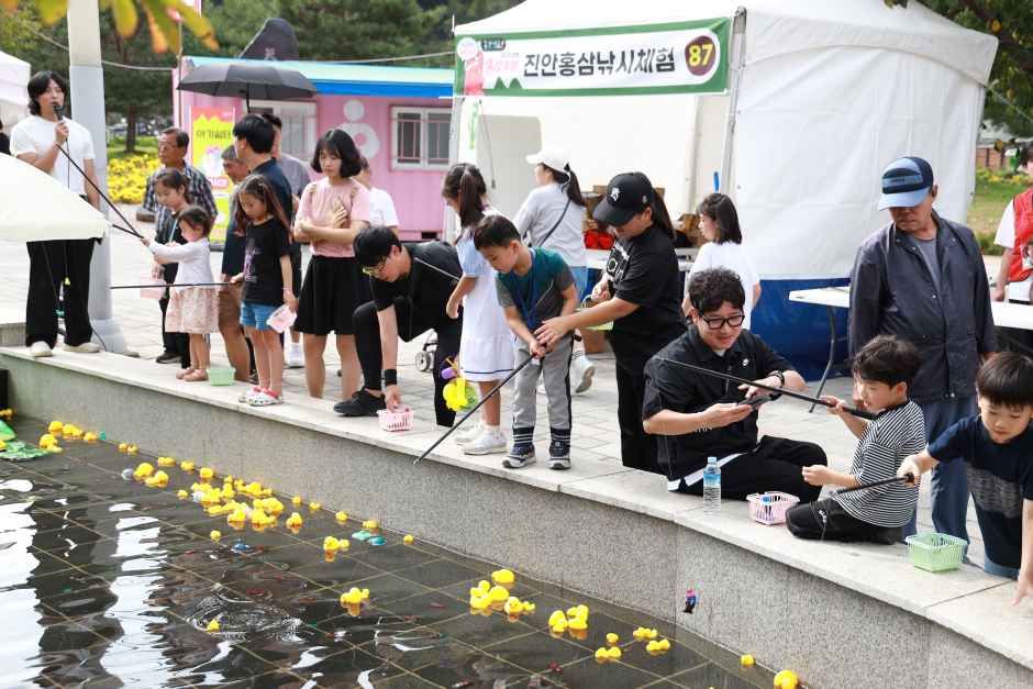 진안홍삼축제
