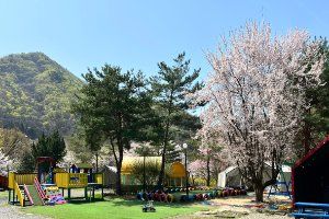 보리산캠핑장