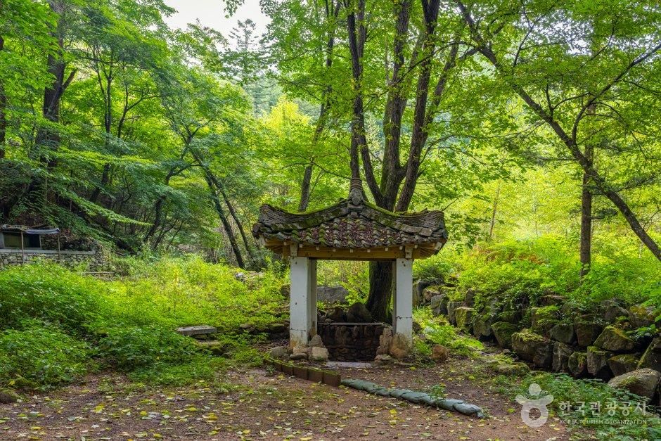 강원_평창군_신약수(가리골약수) (1).jpg