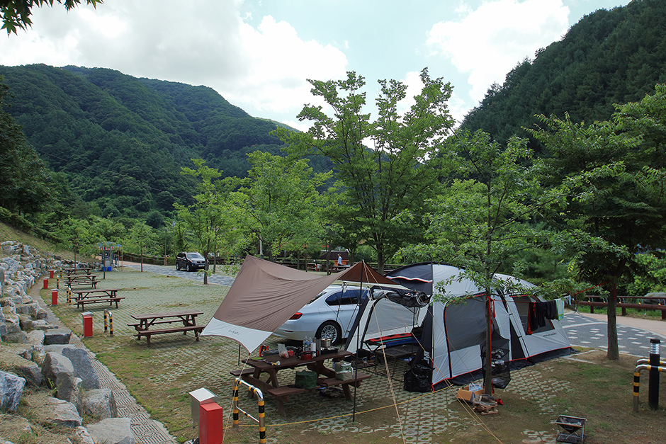 左九山自动露营地