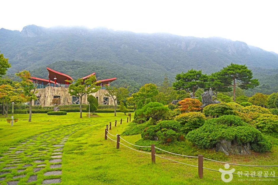Naejangsan Maple Ecology Park