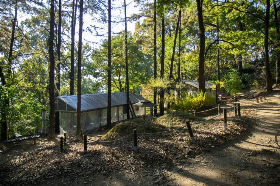 尤庵山