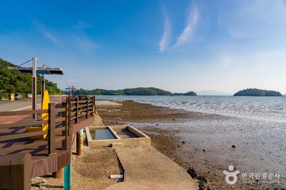 汝自湾滩涂