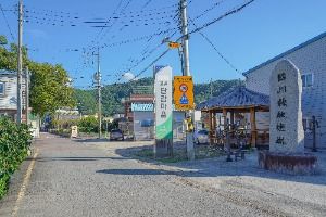 사천 고읍단감마을