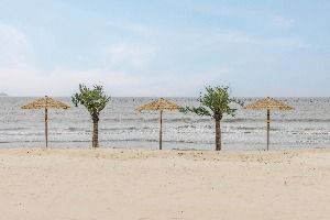 짱뚱어해수욕장