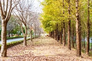 한민족역사문화공원 사진 6