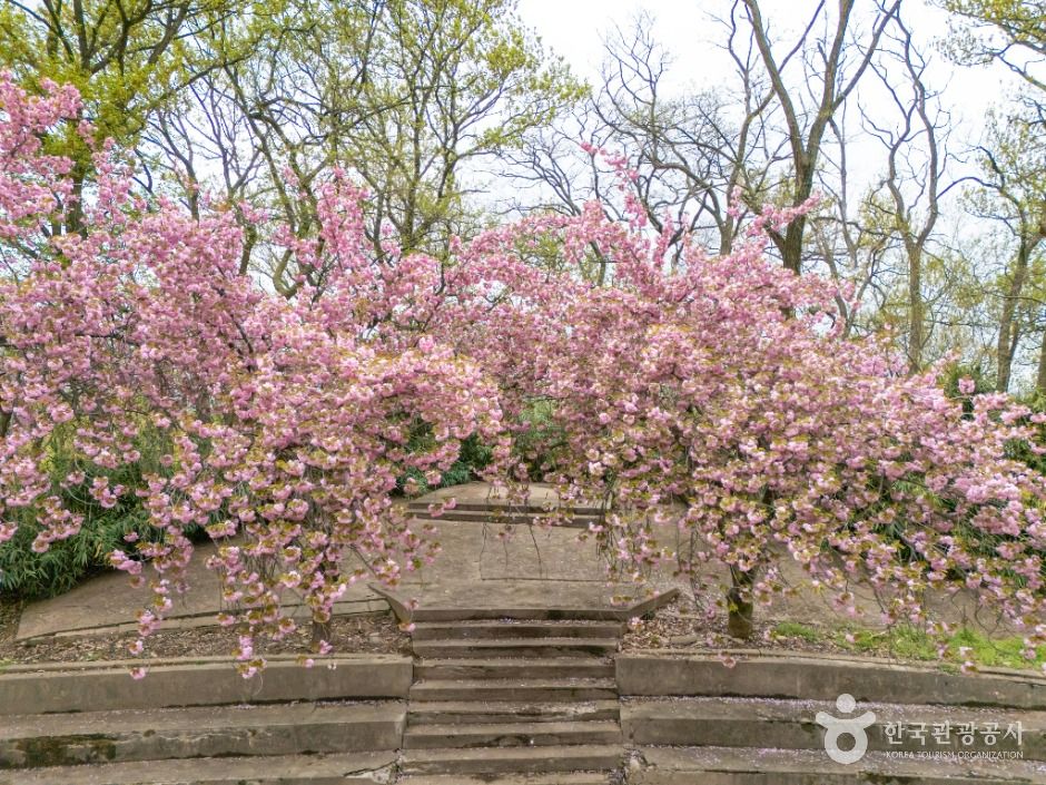 화원동산