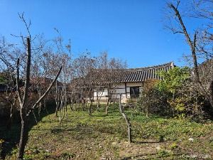 [익산 둘레길] 함라산길 사진 3