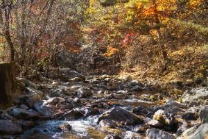 봉화 대현리 열목어 서식지