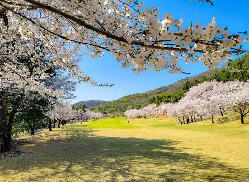 여주_블루헤런 골프클럽 (6).jpg