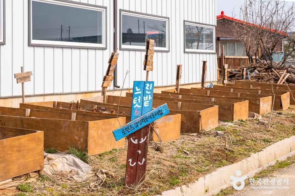 로렌츠감성치유시골체험