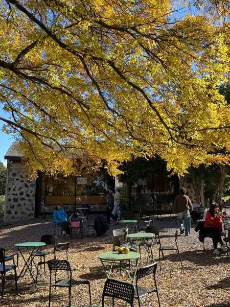 제주_커피템플 (4).JPG