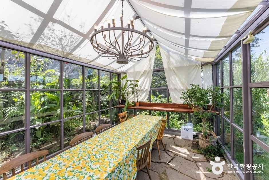 뚜띠콜로리 뮤제오