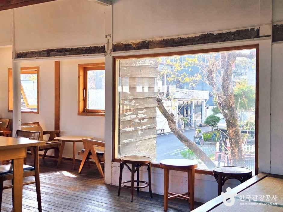 파인파인 강릉점