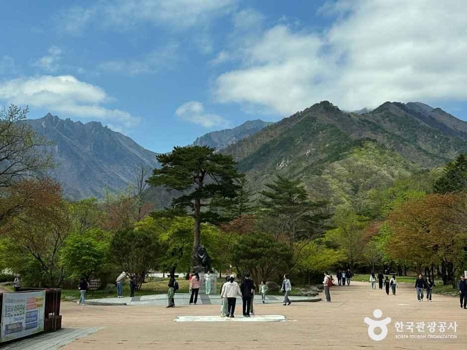 설악산소공원
